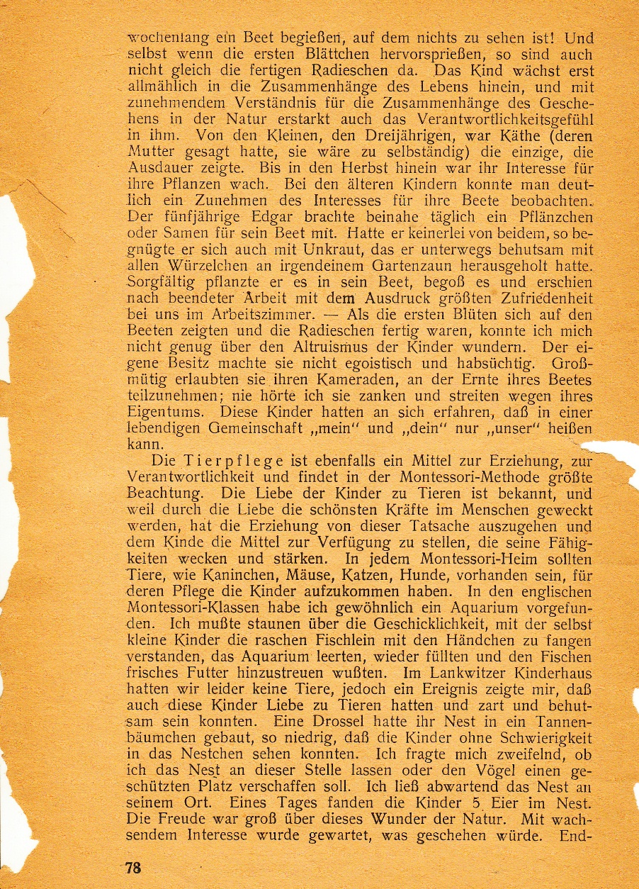 Über die Umgebung des Kindes 0018